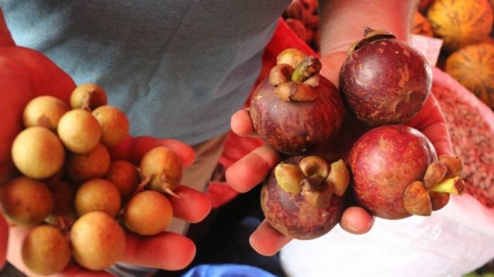Hayati önem taşıyor: Doğum sonrası K vitamini uygulaması neden önemli? 10